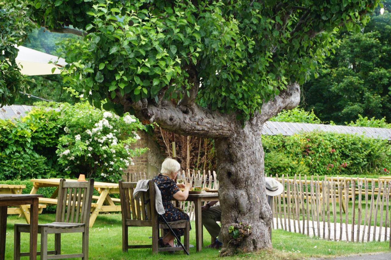 فندق The Pembroke Arms ويلتون المظهر الخارجي الصورة